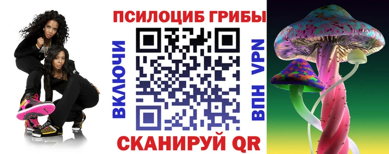 где купить наркоту  Андреаполь  Галлюциногенные грибы Cubensis 