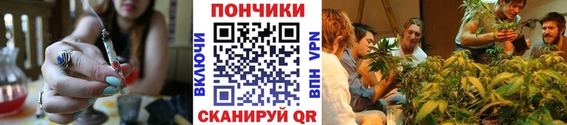 МАРИХУАНА планчик  Андреаполь 